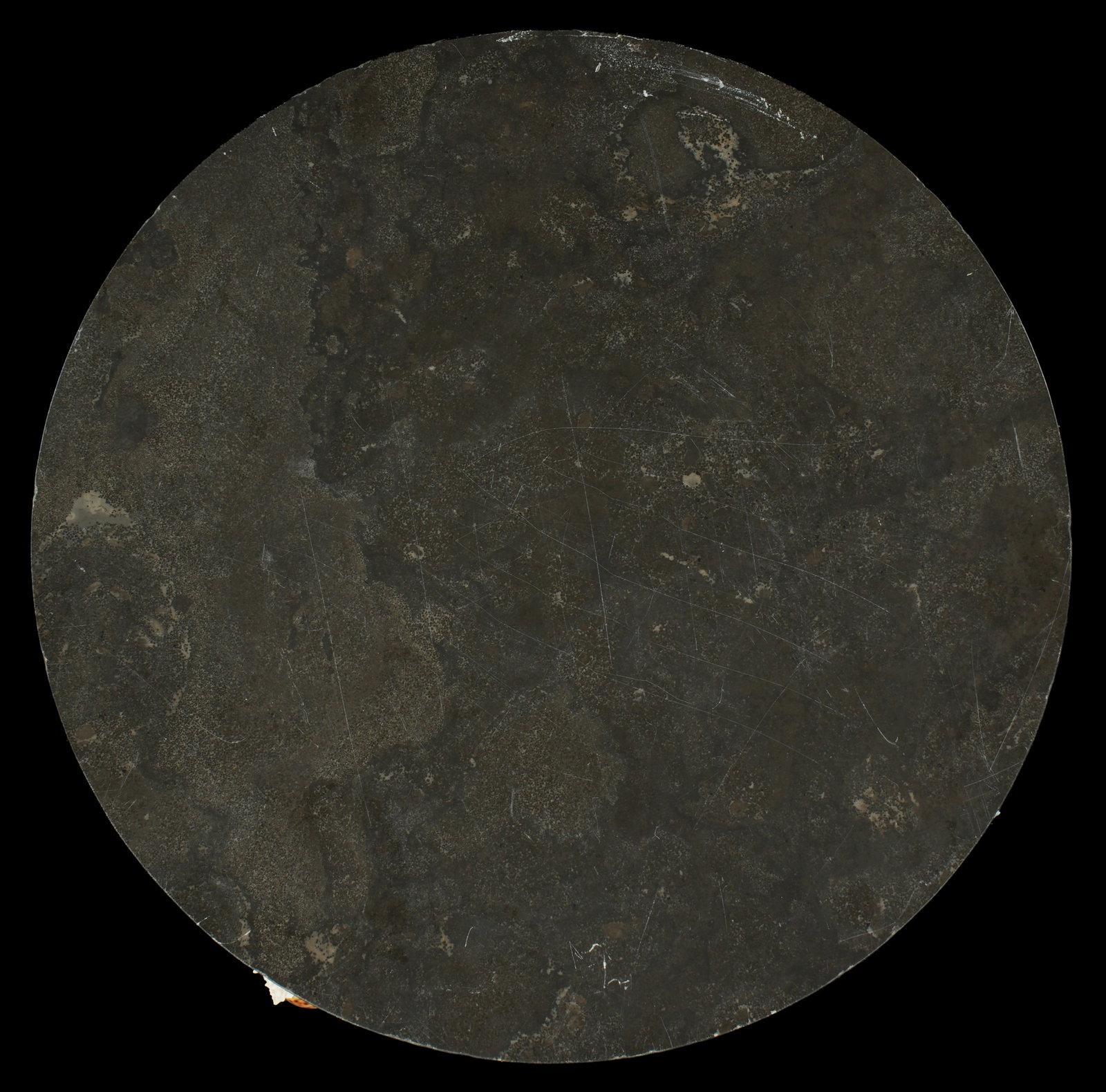 Coastal Shell Decorated Round Table - 7