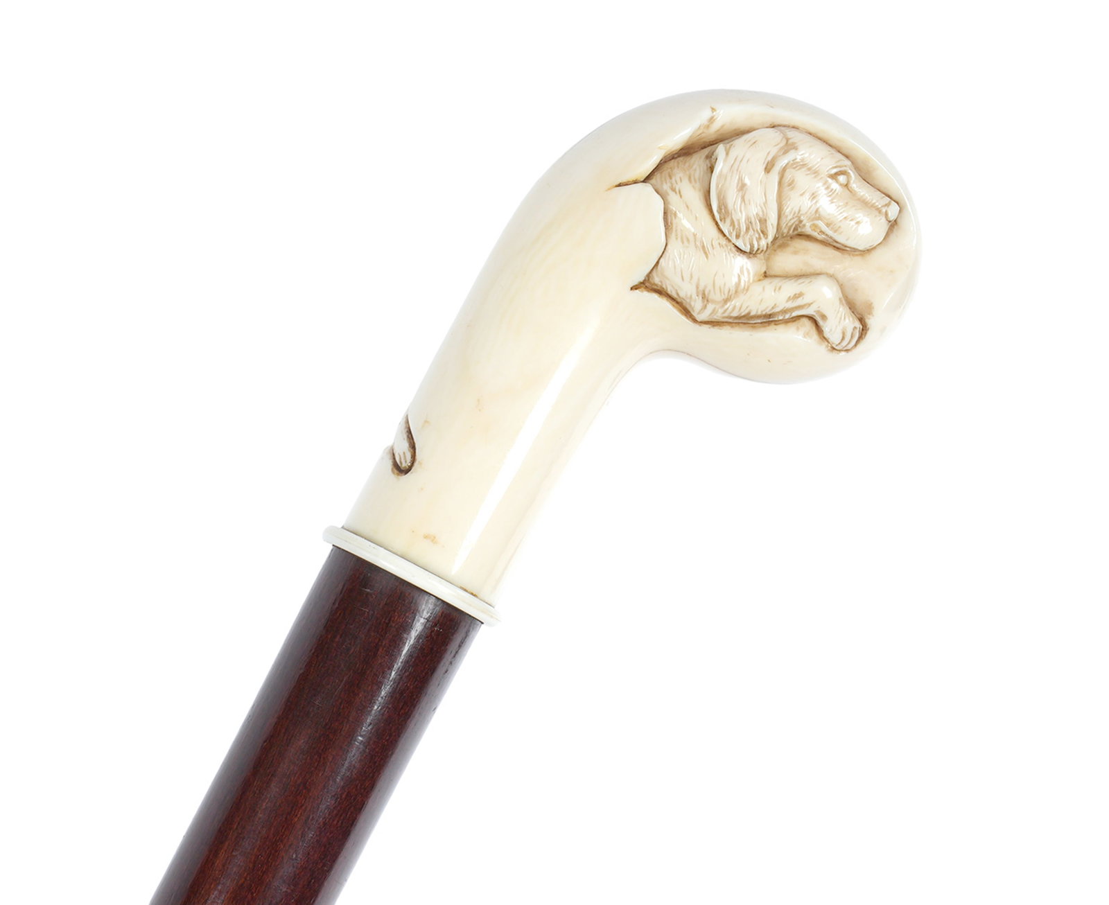 Antique Carved bone Dog in Egg Walking Stick: Antique walking stick / cane. Carved bone figural dog intertwined in egg form handle. Wood shaft, brass tip. Overall 36" long. THIS LOT CANNOT BE SHIPPED OUTSIDE THE STATE OF FLORIDA.
