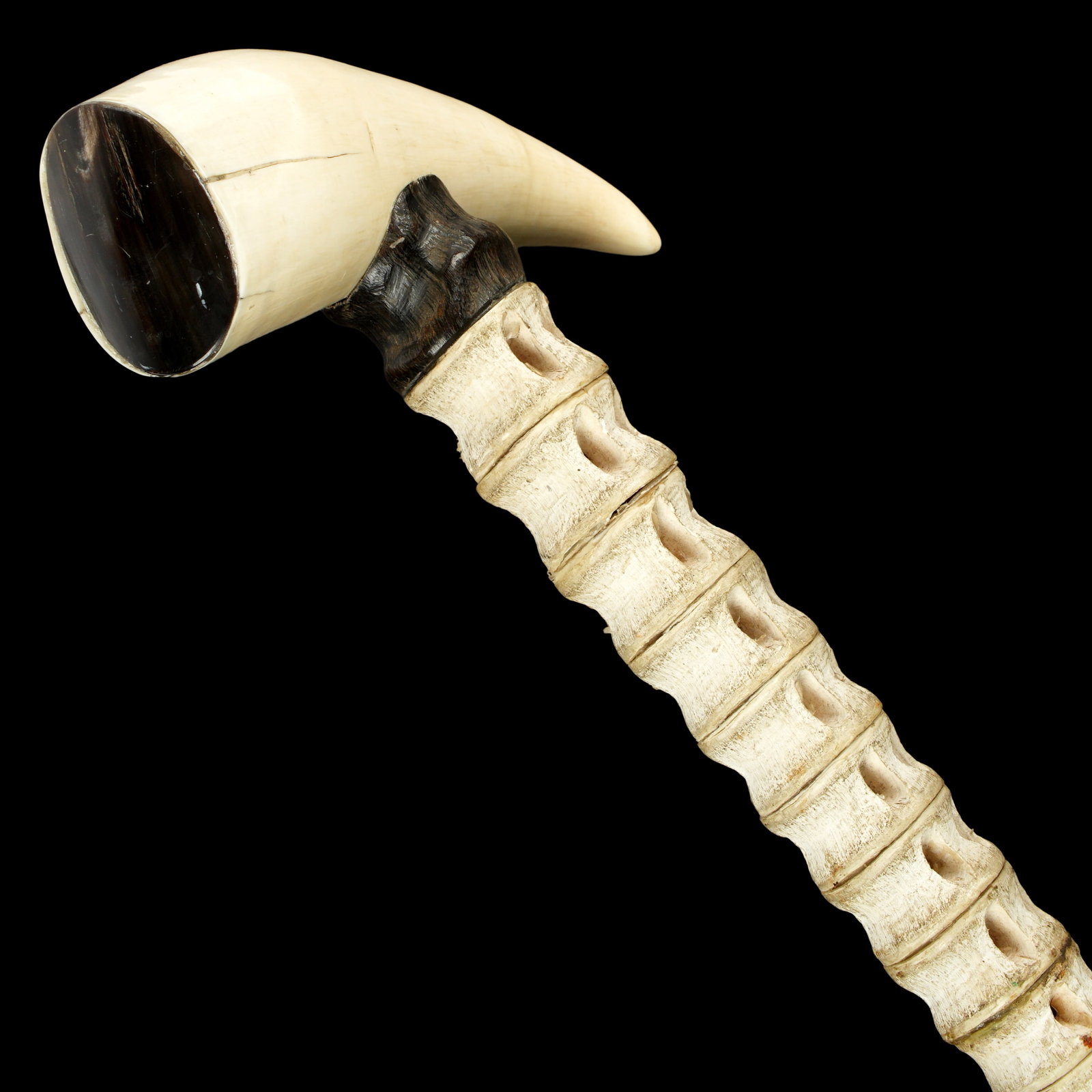 Antique Shark Vertebrae Whales Tooth Walking Stick: Antique walking stick / cane. Whales tooth handle, wood collar. Sharks vertebrae shaft, wood and metal tip. Overall 38.5" long. Please be aware of local laws. This lot can not be shipped out of the US