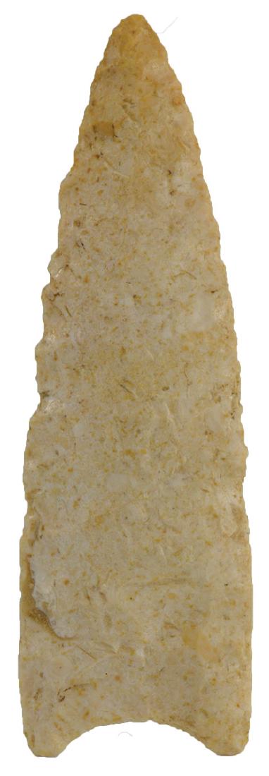 2 9/16" Allen.  Greene Co, AR.  Perino COA.  Thin, nice (1 of 3)