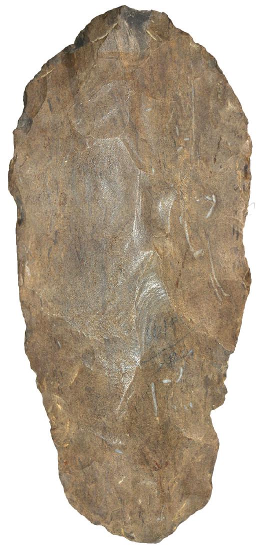 7 1/8" Mississippian Dover Celt.  TN.  Ex-Steve Clark (1 of 2)