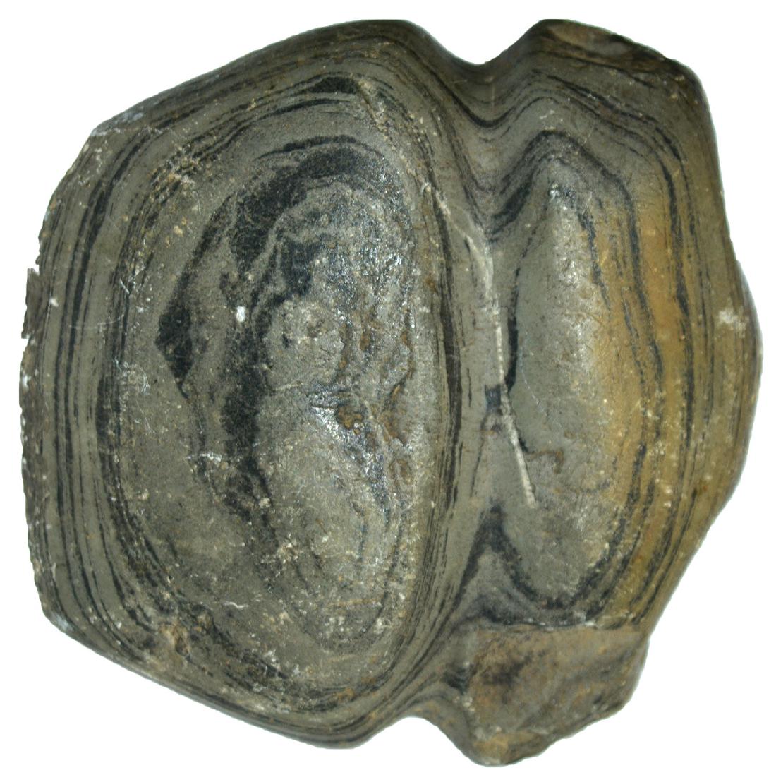 2 3/4" Full Groove Slate Axe.  Warren Co, IN.  Very (1 of 2)