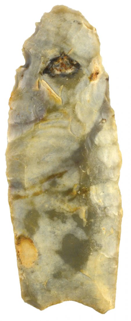 2 5/8" Clovis.  Scott Co, KY.  Rogers COA.  Pictured in (1 of 4)