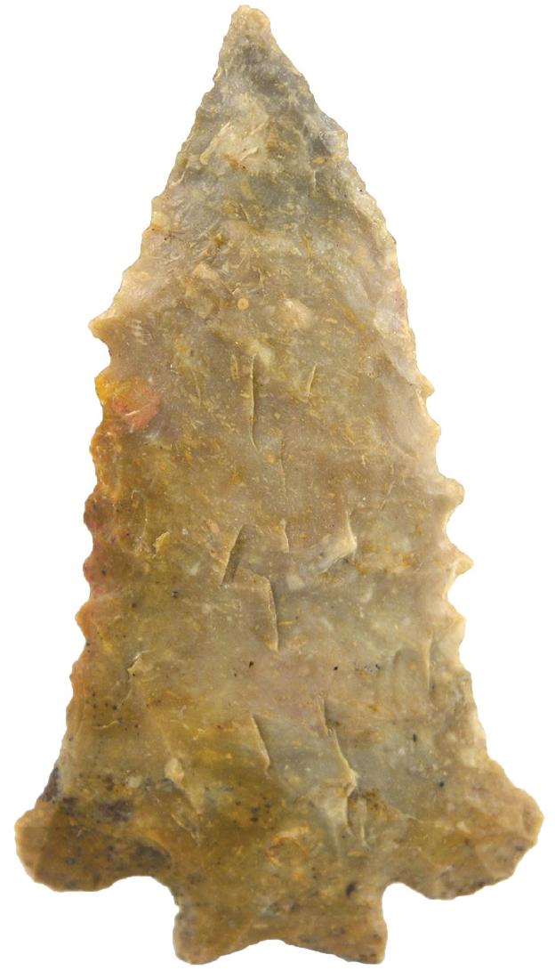 2 1/2" Serrated Decatur Point.  Harrison Co, KY. (1 of 3)