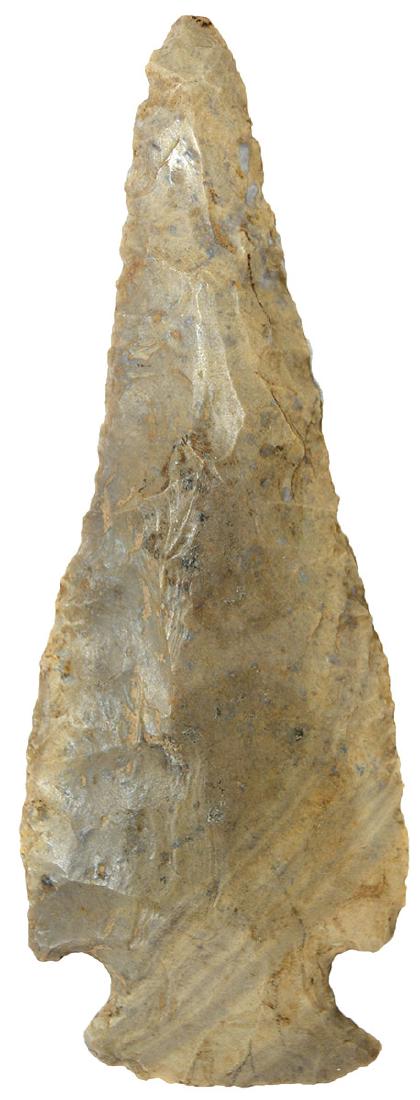 5 1/4" Jacks Reef.  N. Indiana.  Ex-Dr. Otten, Col. Ray (1 of 3)