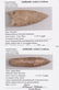 15 Very Fine Points. Selling as ONE Lot. 2 1/8"-4". - 10