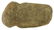 4"" Full Groove Axe. Bartholomew Co, IN. Tan - 2