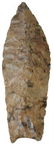2 3/4" Midland. Lee Co, TX. Rogers COA. Thin, well