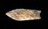 2 3/4" Midland. Lee Co, TX. Rogers COA. Thin, well - 2