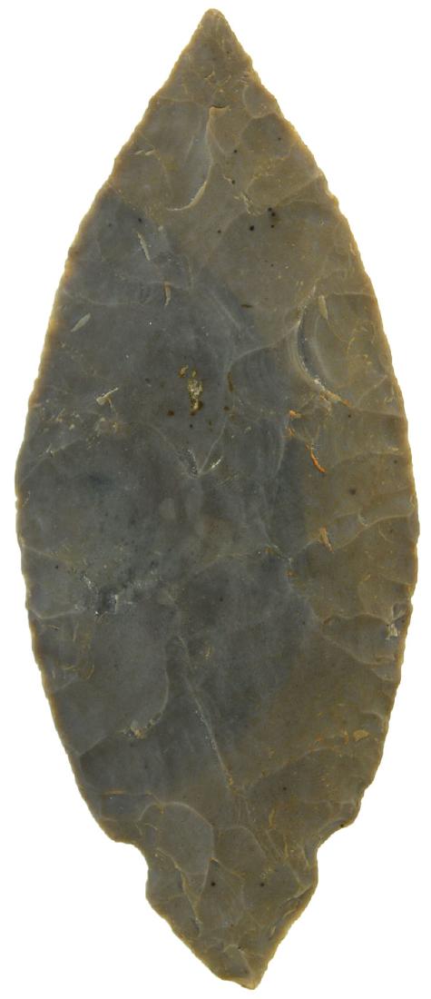 4 3/8" Fulton Turkeytail.  Ohio Co, IN.  Very thin. (1 of 3)