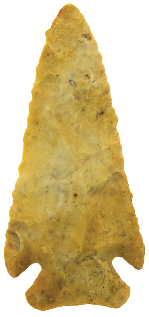 3 1/2" Thebes.  Portage Co, OH.  Yellow Flintridge. (1 of 3)