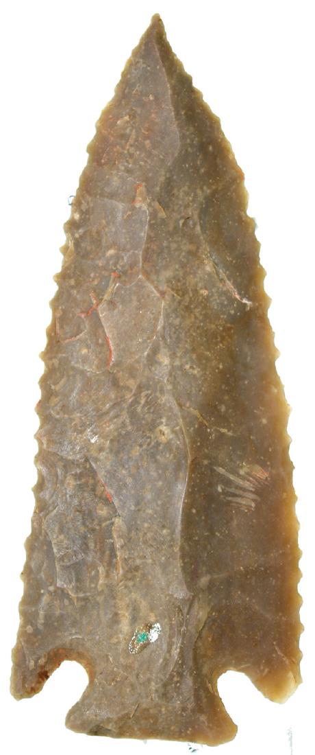 4 1/2" Kirk.  Wayne Co, KY.   Ex-Tom Erdmann.  Baker (1 of 4)