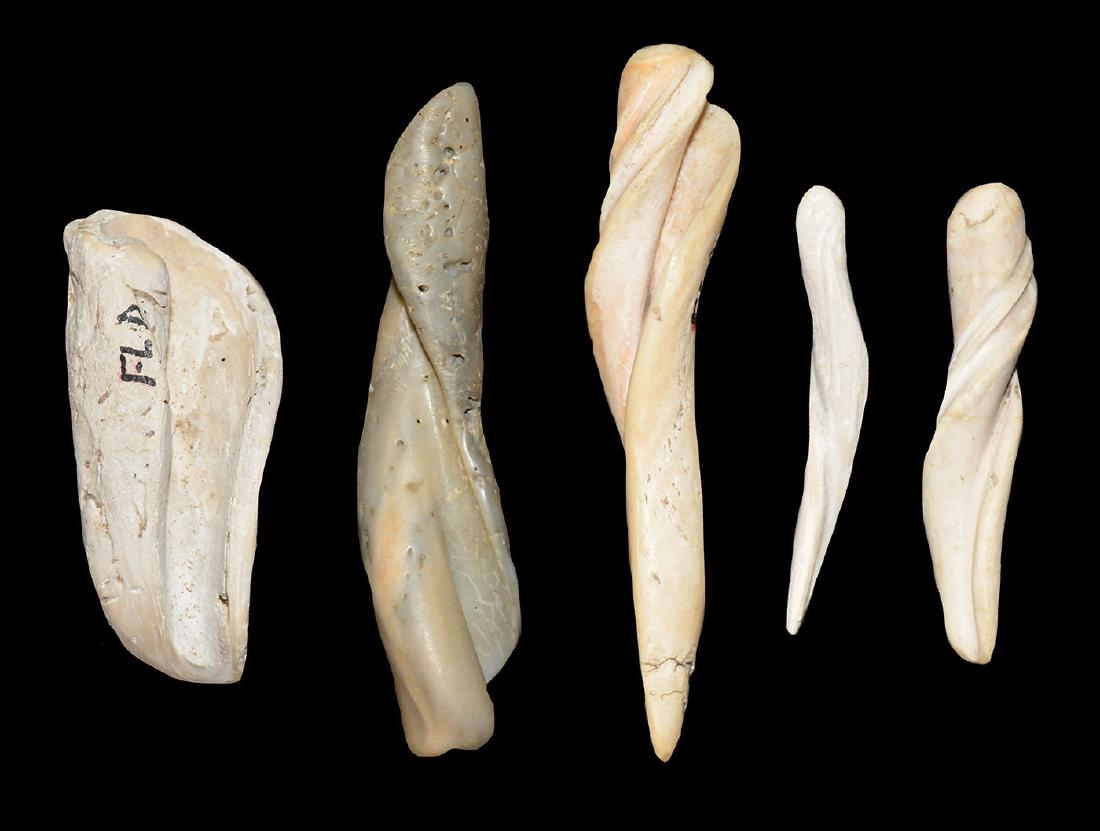 5 Worked Shell Tools/Ornaments.  3 1/4"-4 3/4".  FL. (1 of 1)