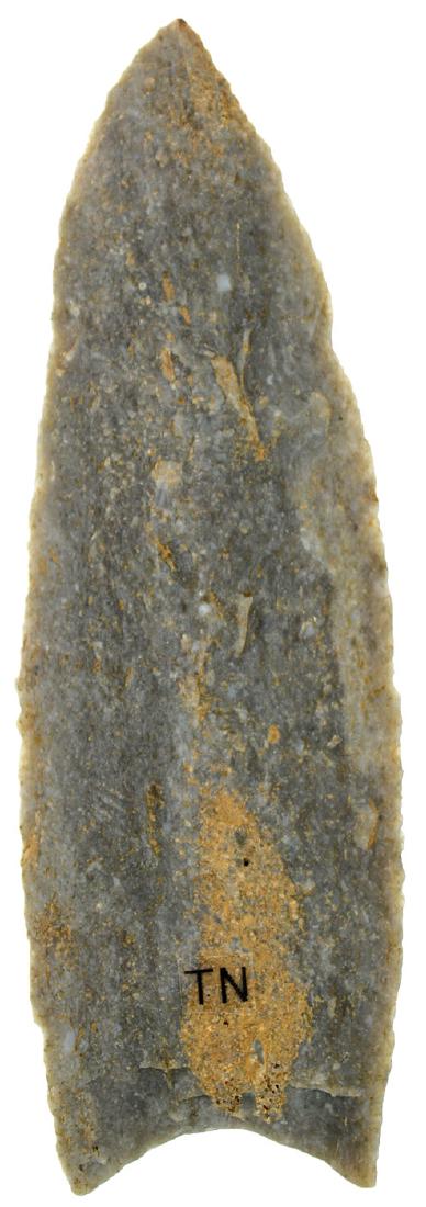 3 13/16" Clovis.  TN.  Quartzite.  Thin, slight blade (1 of 3)