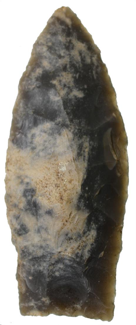 2 7/8" Beaver Lake.  KY.  Sonora.  Davis G8 COA (1 of 3)