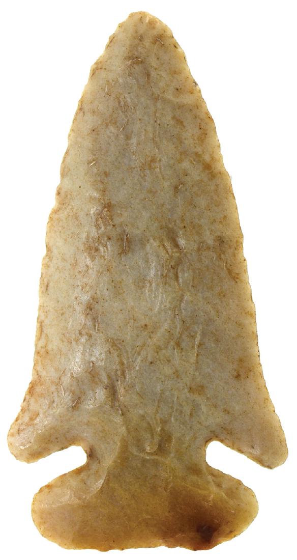 3 3/8" Thebes.  Elliot Co, KY.   Carter Cave.  Partain (1 of 5)