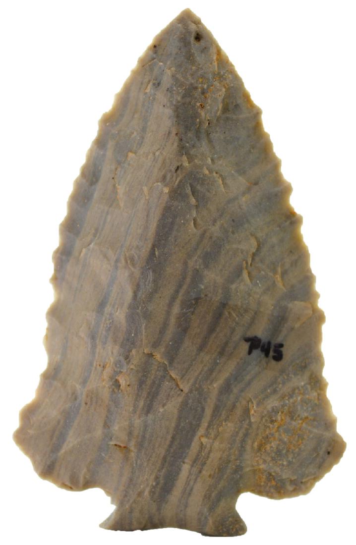 2 5/8”  Fracture Base Decatur.  KY.   Davis G10 COA. (1 of 3)