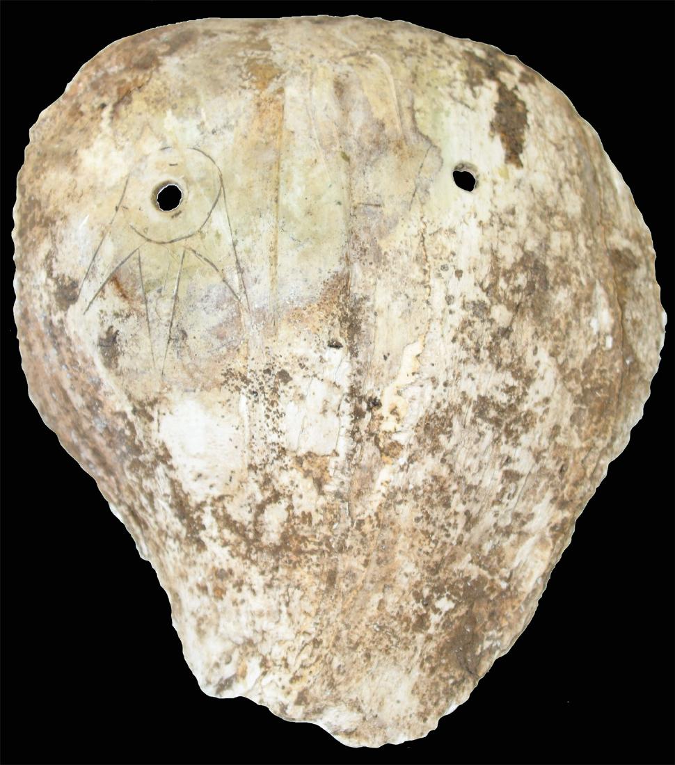 4 3/4" Weeping Eye Shell Gorget.  Davis G8 COA.  Ex-Dan (1 of 3)