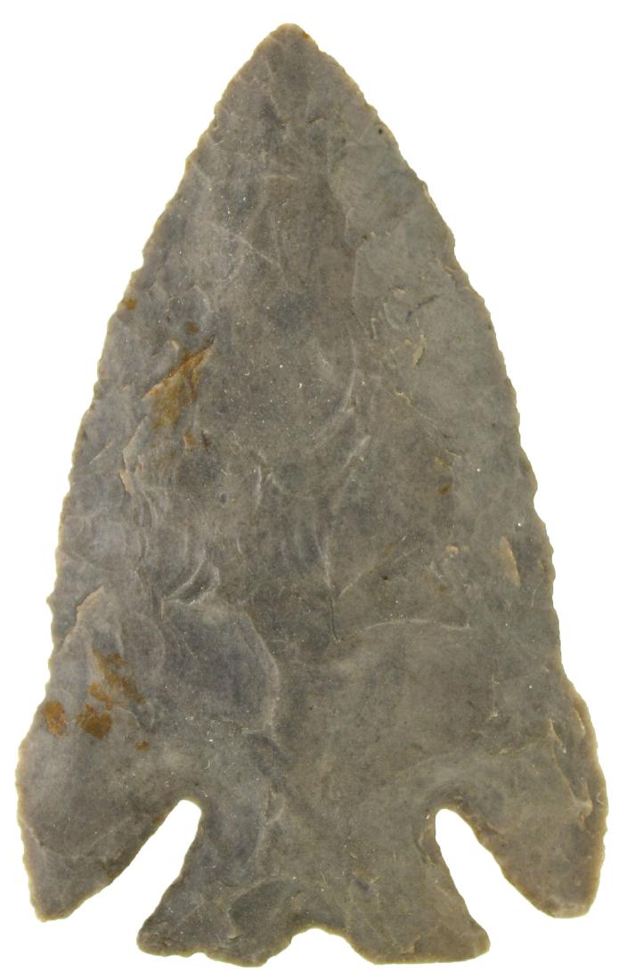 3 3/16" Lost Lake.  Scioto Co, OH.  Ft. Payne.  Baker (1 of 3)