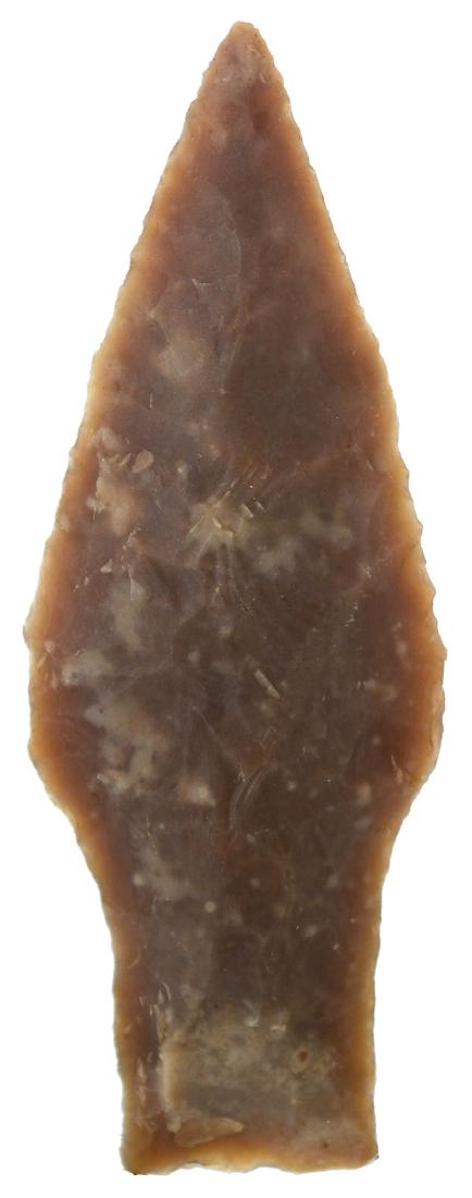 3" Travis.  Travis Co, TX.  Rogers COA.  Glossy brown (1 of 3)