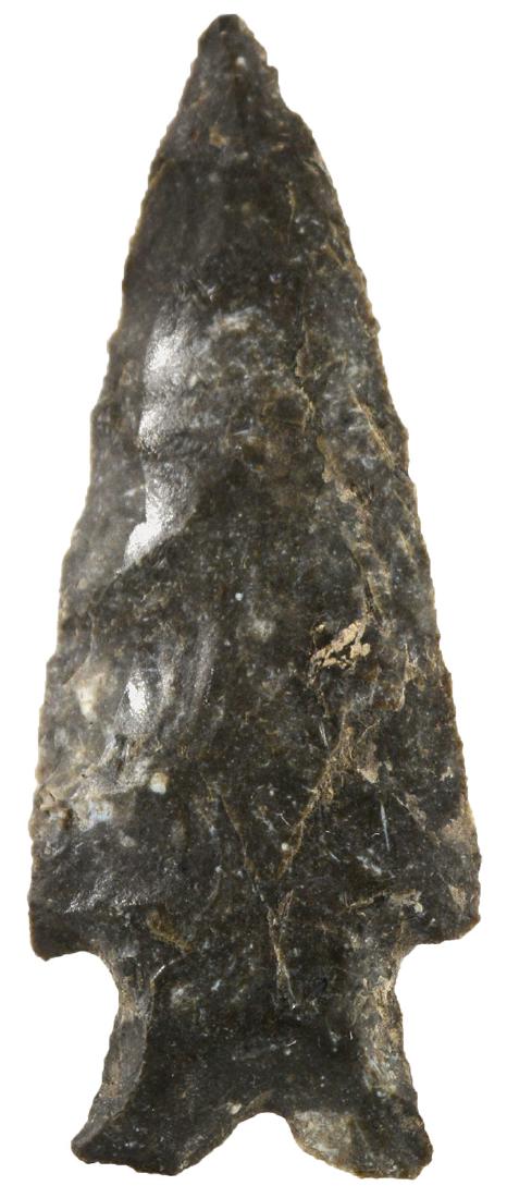 2 3/8" Montell.  Zapata Co, TX.   Rogers COA (1 of 3)