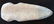 8 3/8" 3/4 Groove Axe. IN. Weathered, good condition. - 3