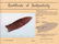 4" Dalton. AR. Large, red Novaculite. Caddo G9 and - 3