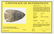 3 1/16" Lost Lake. Meade Co, KY, Davis G10 COA. Two - 3