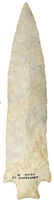 6 3/16" Etley. Well pictured in Tully's Field Guide to