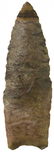 2 7/8" Clovis. TN. Davis G8 COA. Striped Dover