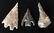 Three Rogers papered Travis Co, TX points: 2 13/16"