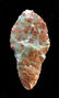 3 1/4" Lake Mohave. Tulare Co, CA. Davis COA - 2