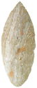 3 5/16" Teardrop Blade. Calaveras Co, CA. Very thin,