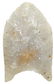 1 9/16" Clovis. Alexander Co, IL. Rogers COA. White