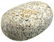 3 5/8" Metate. Tulare Co, CA. Finely made, nicely
