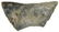 1 7/8" Paleo Crescent. Tulare Co, CA. Butterfly type.