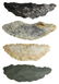 Four large Paleo Crescents. 2 1/8"-2 3/8". Tulare - 2