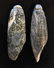 Two unusual Grooved Charmstones. 4 7/8" & 5 1/4".