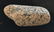 3 7/8" Birdstone Preform. Knox Co, OH. Granite. Nice - 5