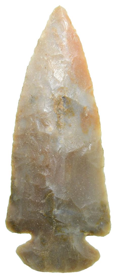 3 3/8" Dovetail.  Warren Co, IN.  Carter Cave.  Stermer (1 of 3)