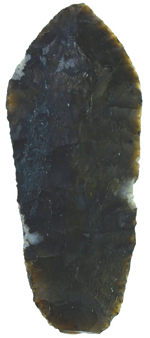 2 3/4"" Ano Nuevo.  Davis COA.  Tulare Lake, CA. (1 of 3)