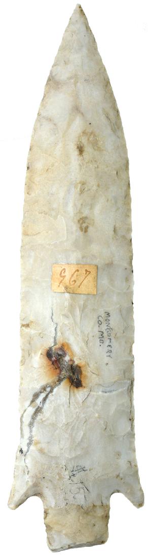 8" Etley.  Montgomery Co, MO.  Ex-John Robinson, George (1 of 4)