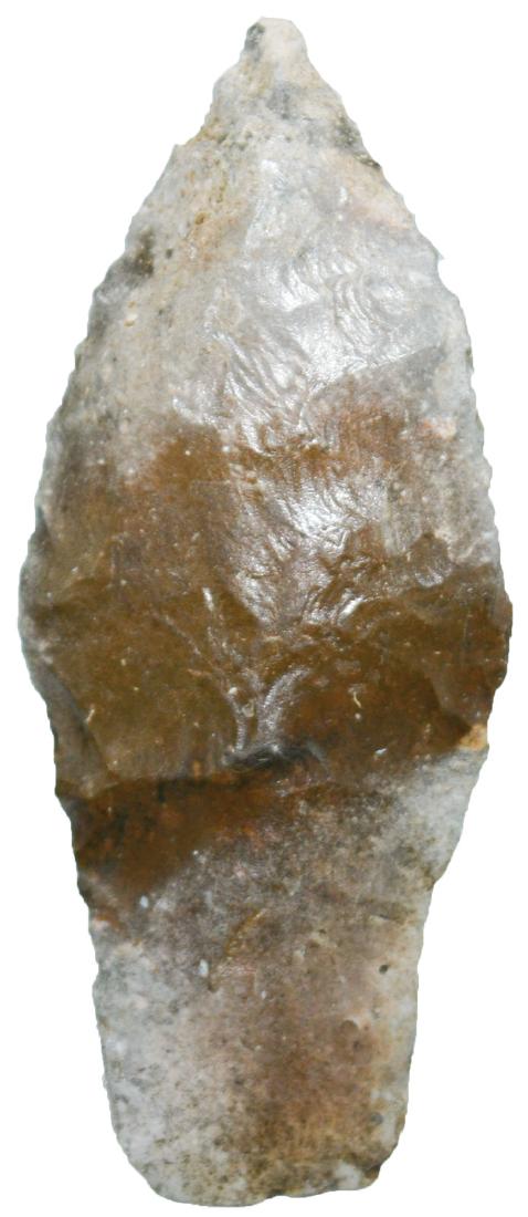 2 7/8" Hells Gap.  OK.  Pictured.  Transitional Paleo (1 of 2)