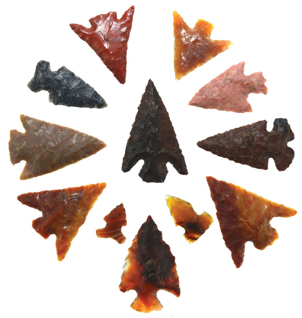 Group of 12 very nice Columbia River Gem Points (1/2"-1 (1 of 1)