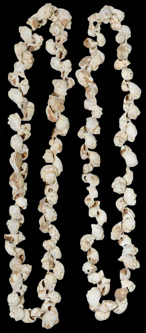 Two 24" Shell Bead Necklaces.  MO.  Ex-Rick Stevens, (1 of 1)