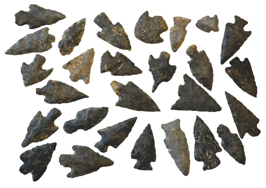 Group of 28 TN points (1"-2 1/2"). All whole, dark (1 of 1)