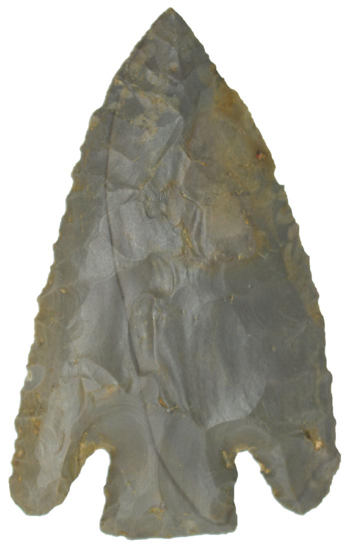 3 1/16" Lost Lake.  TN.  Davis COA.  Hornstone, very (1 of 3)