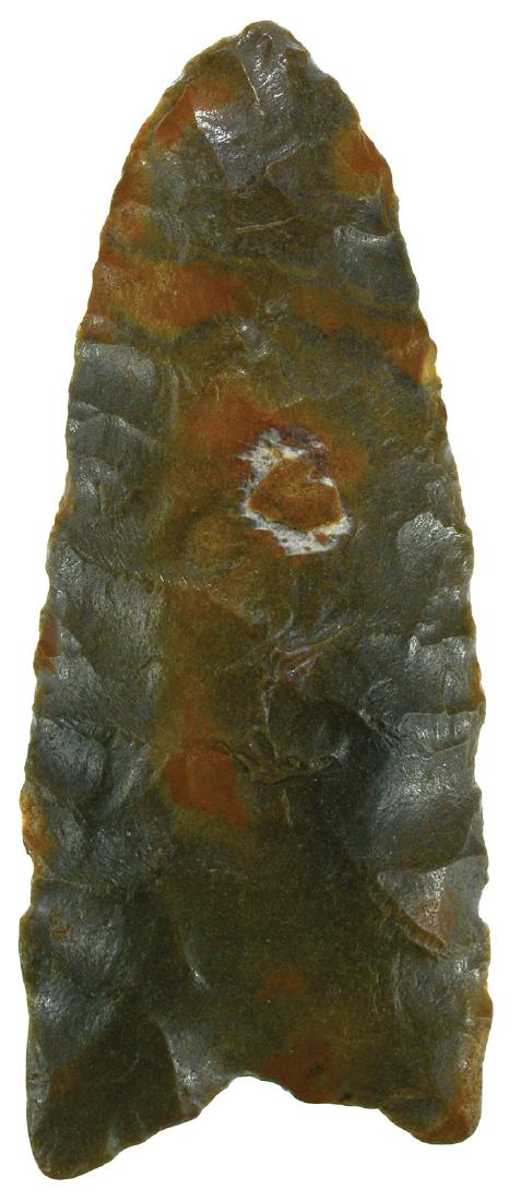 2 1/4" Allen.  Osage Co, OK.  Rogers COA.  FB Rick (1 of 3)