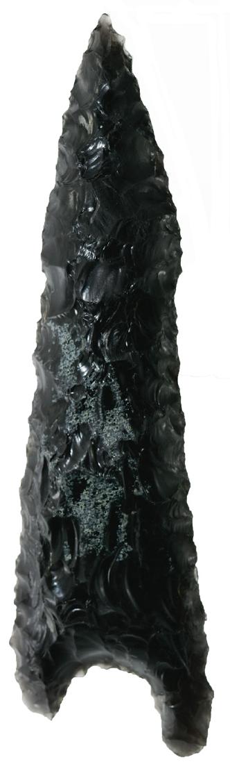 Super 5 1/4" Humbolt.  Davis COA.  Tulare Co, CA. (1 of 3)