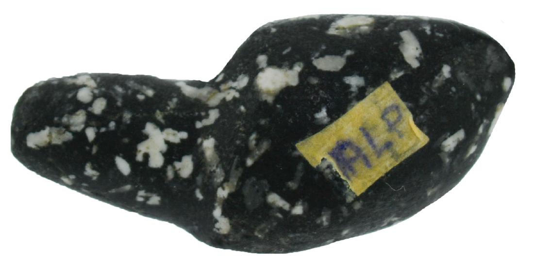 1 1/2" Atlatl Spur.  Tulare Co, CA.  Paleo Atlatl (1 of 3)